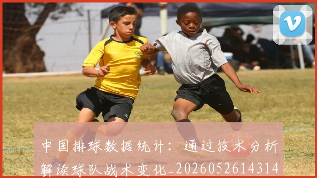 中国排球数据统计：通过技术分析解读球队战术变化_20260526143141