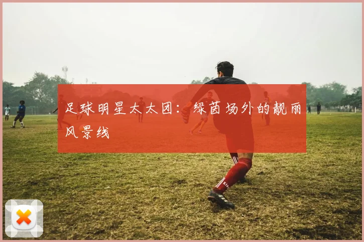 足球明星太太团:绿茵场外的靓丽风景线